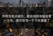 昨晚我差点破防：蘑菇视频电脑版第一次用，缓存管理一下子就暴露了
