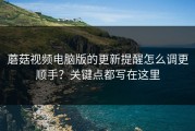 蘑菇视频电脑版的更新提醒怎么调更顺手？关键点都写在这里