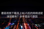 蘑菇视频下载连上Wi‑Fi后的网络适配体验翻车？多半是这个原因