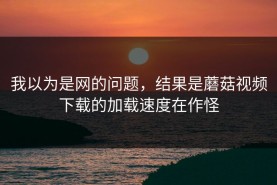 我以为是网的问题，结果是蘑菇视频下载的加载速度在作怪