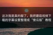 这次我是真的服了，我把蘑菇视频下载的字幕设置整理成“傻瓜版”教程