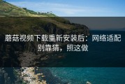 蘑菇视频下载重新安装后：网络适配别靠猜，照这做
