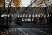 蘑菇影视在线观看的离线播放怎么调？一句话解决