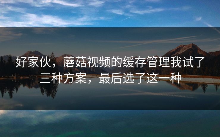 好家伙，蘑菇视频的缓存管理我试了三种方案，最后选了这一种