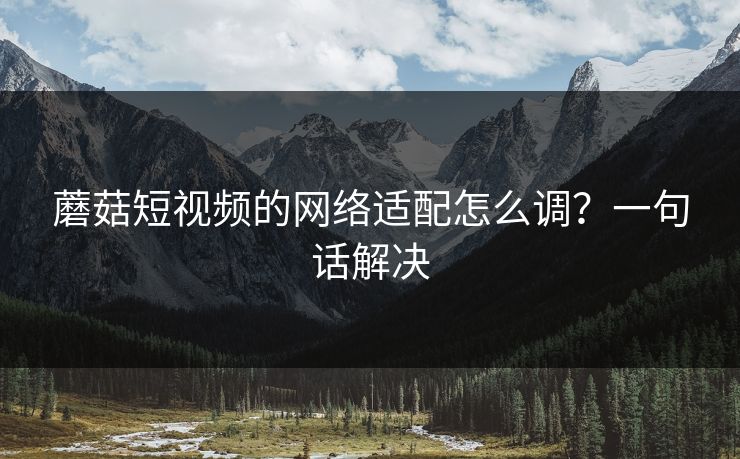蘑菇短视频的网络适配怎么调？一句话解决