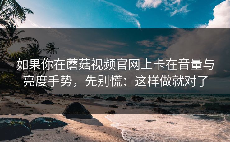 如果你在蘑菇视频官网上卡在音量与亮度手势，先别慌：这样做就对了