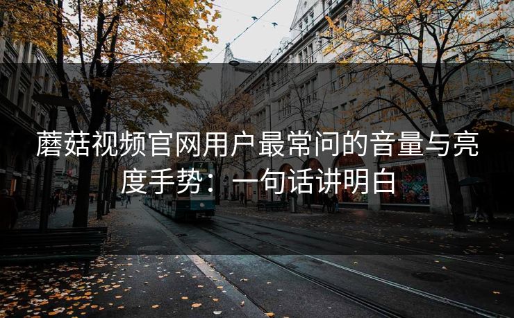 蘑菇视频官网用户最常问的音量与亮度手势：一句话讲明白