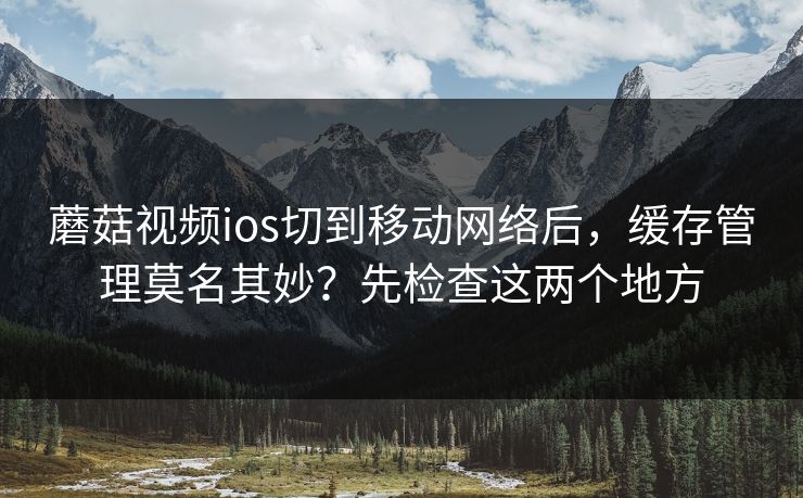 蘑菇视频ios切到移动网络后，缓存管理莫名其妙？先检查这两个地方