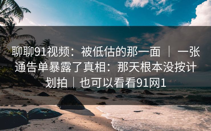 聊聊91视频：被低估的那一面 ｜ 一张通告单暴露了真相：那天根本没按计划拍｜也可以看看91网1