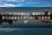 一个冷门但关键的点：蘑菇视频：画质与流量最容易被忽略的“反直觉规则”