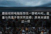 蘑菇视频电脑版想找一部老片时，音量与亮度手势突然变顺：原来关键是这一项