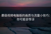 蘑菇视频电脑版的画质与流量小技巧：你可能会惊讶