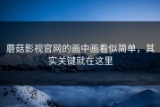 蘑菇影视官网的画中画看似简单，其实关键就在这里