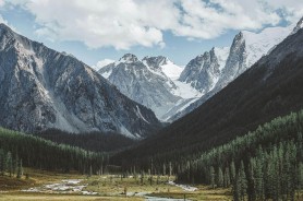 我把步骤写全了蘑菇影视在线观看，清晰度自动切换这件事我终于复盘一遍了