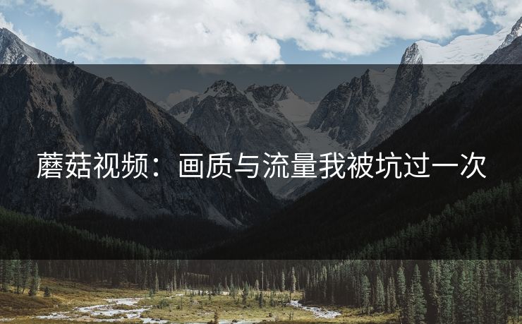 蘑菇视频：画质与流量我被坑过一次