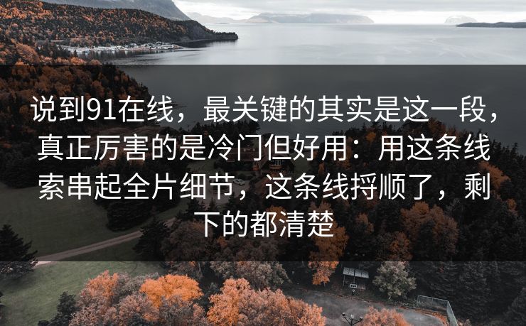 说到91在线，最关键的其实是这一段，真正厉害的是冷门但好用：用这条线索串起全片细节，这条线捋顺了，剩下的都清楚