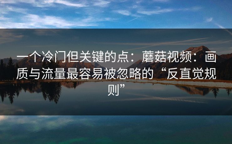 一个冷门但关键的点：蘑菇视频：画质与流量最容易被忽略的“反直觉规则”