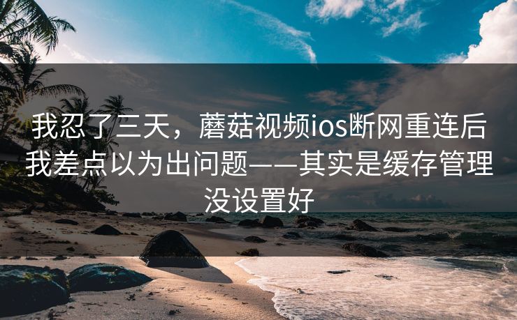 我忍了三天，蘑菇视频ios断网重连后我差点以为出问题——其实是缓存管理没设置好
