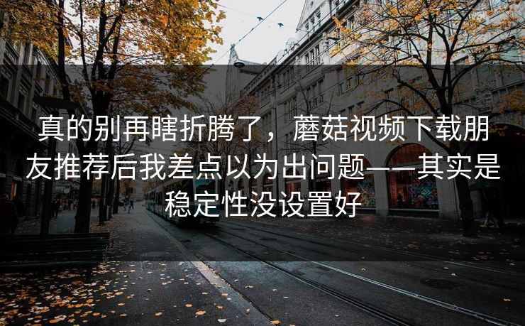真的别再瞎折腾了，蘑菇视频下载朋友推荐后我差点以为出问题——其实是稳定性没设置好