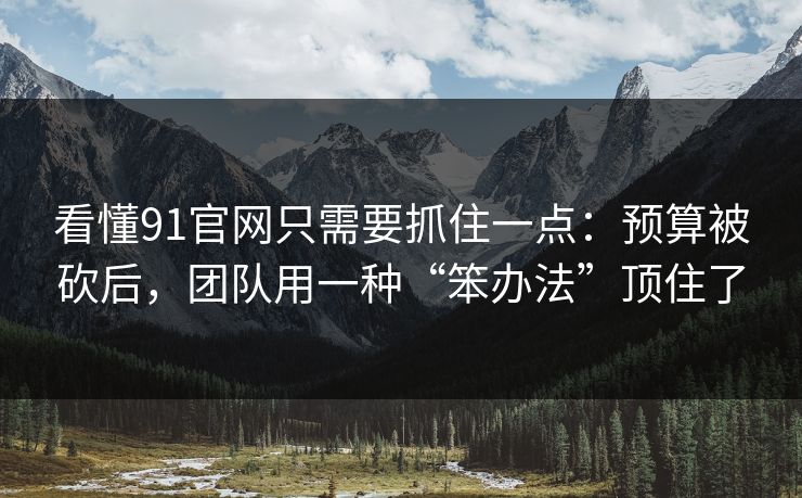 看懂91官网只需要抓住一点：预算被砍后，团队用一种“笨办法”顶住了