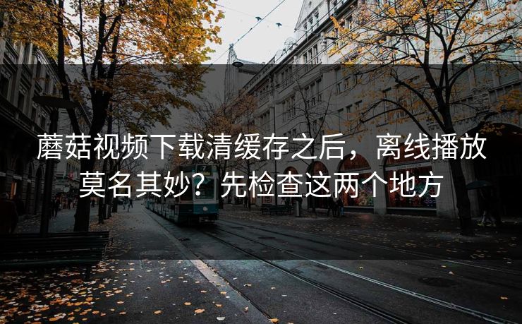 蘑菇视频下载清缓存之后,离线播放莫名其妙?先检查这两个地方 蘑菇视频下载清缓存之后,离线播放莫名其妙?先检查这两个地方