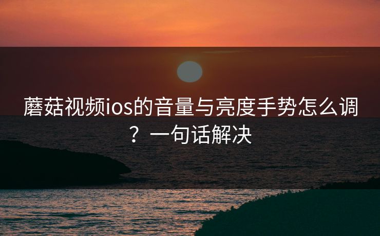 蘑菇视频ios的音量与亮度手势怎么调？一句话解决
