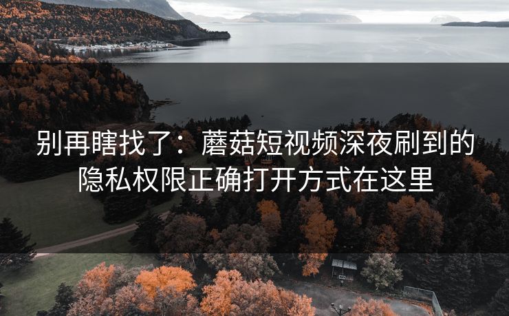 别再瞎找了:蘑菇短视频深夜刷到的隐私权限正确打开方式在这里 别再瞎找了:蘑菇短视频深夜刷到的隐私权限正确打开方式在这里