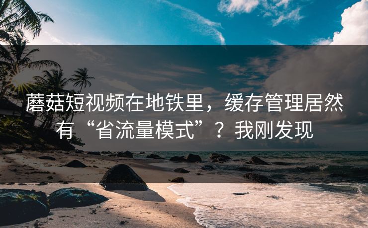 蘑菇短视频在地铁里,缓存管理居然有“省流量模式”?我刚发现 蘑菇短视频在地铁里,缓存管理居然有“省流量模式”?我刚发现