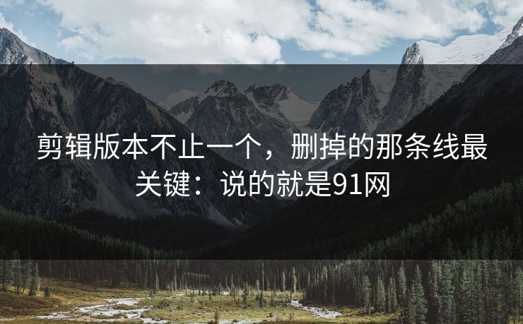 剪辑版本不止一个,删掉的那条线最关键:说的就是91网 剪辑版本不止一个,删掉的那条线最关键:说的就是91网
