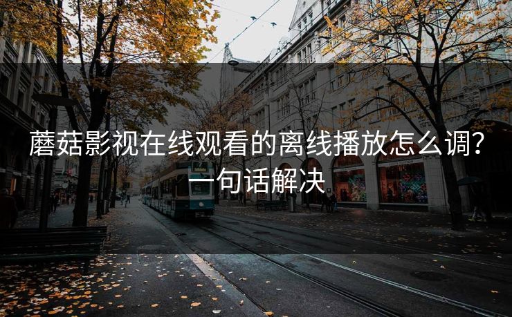 蘑菇影视在线观看的离线播放怎么调?一句话解决 蘑菇影视在线观看的离线播放怎么调?一句话解决