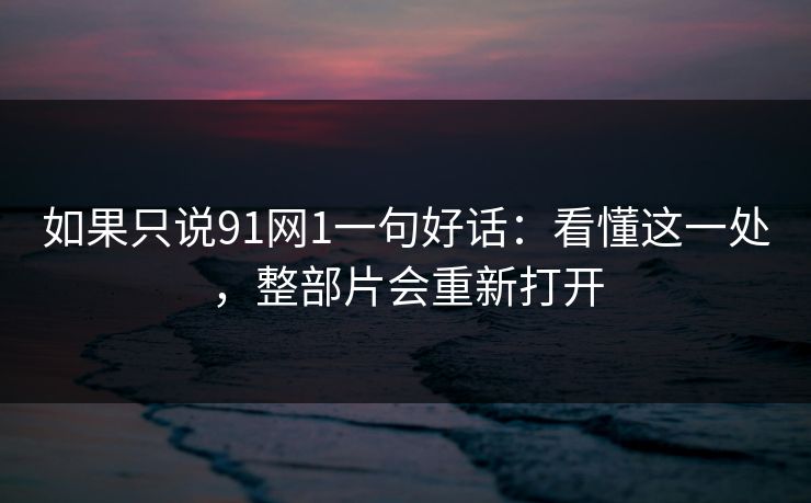 如果只说91网1一句好话：看懂这一处，整部片会重新打开