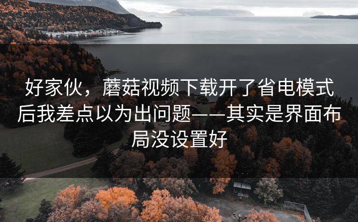 好家伙，蘑菇视频下载开了省电模式后我差点以为出问题——其实是界面布局没设置好