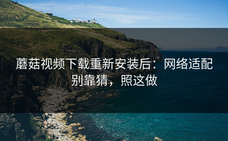 蘑菇视频下载重新安装后：网络适配别靠猜，照这做