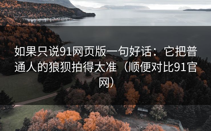 如果只说91网页版一句好话：它把普通人的狼狈拍得太准（顺便对比91官网）